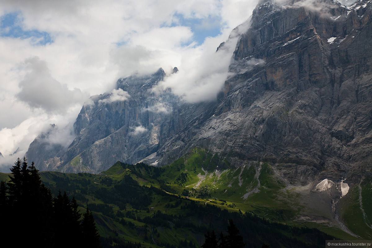 First, Grindelwald